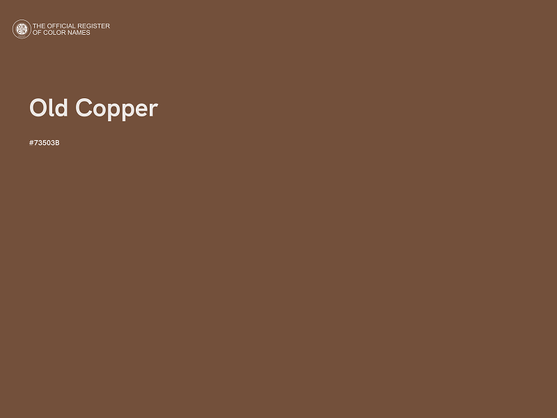 #73503B - Old Copper color image