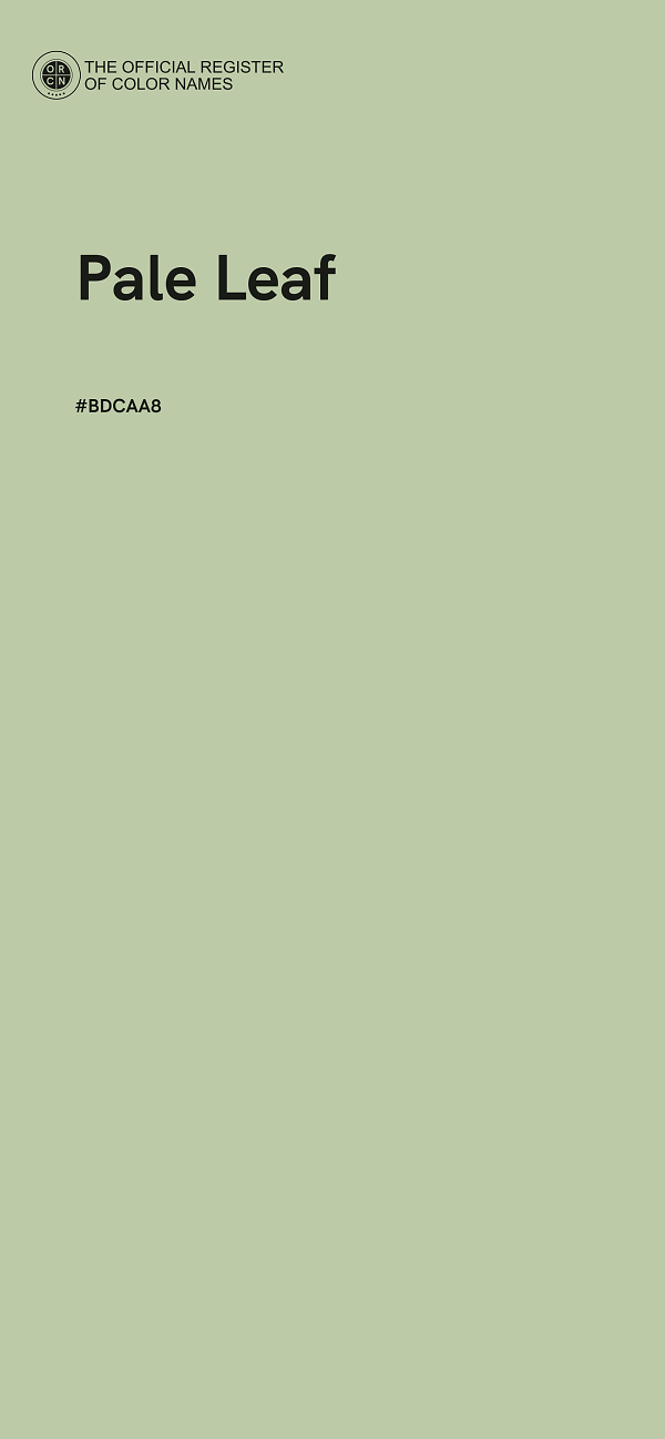 #BDCAA8 - Pale Leaf color image