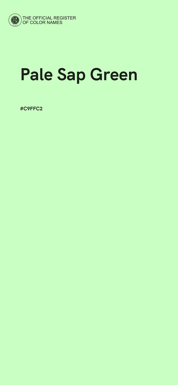 #C9FFC2 - Pale Sap Green color image