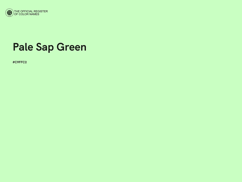 #C9FFC2 - Pale Sap Green color image