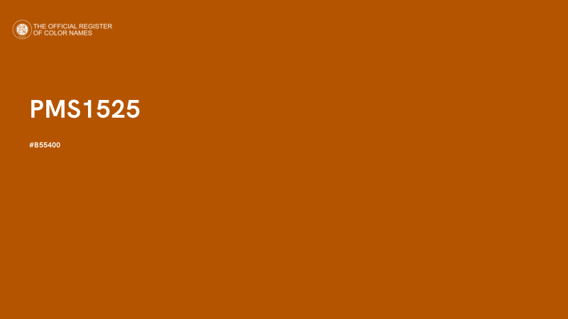 #B55400 - PMS1525 color image