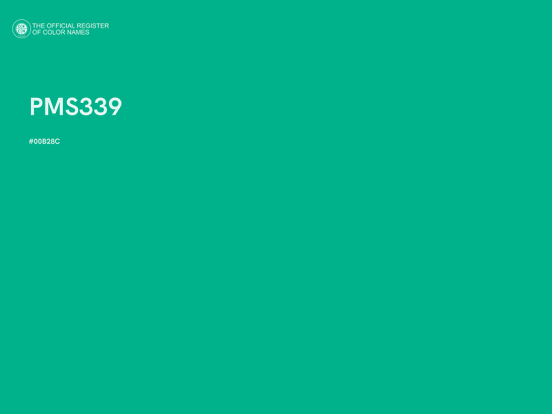#00B28C - PMS339 color image