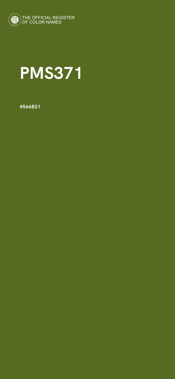 #566B21 - PMS371 color image