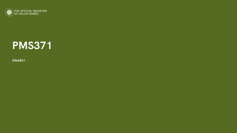 #566B21 - PMS371 color image