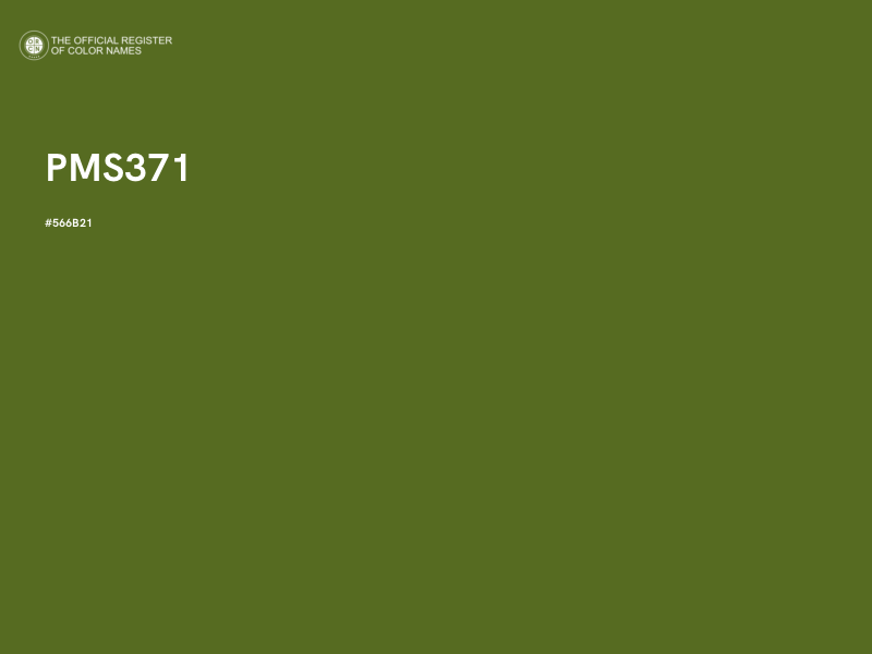 #566B21 - PMS371 color image