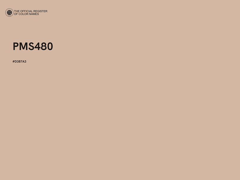 #D3B7A3 - PMS480 color image