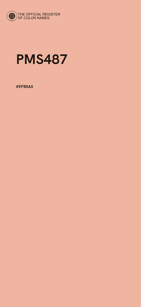 #EFB5A0 - PMS487 color image