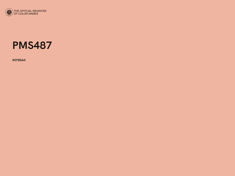 #EFB5A0 - PMS487 color image