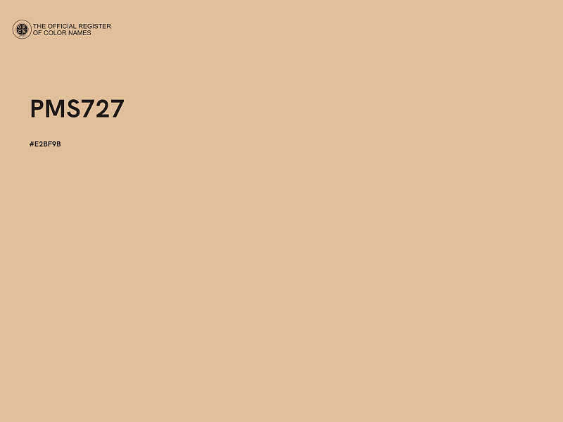 #E2BF9B - PMS727 color image