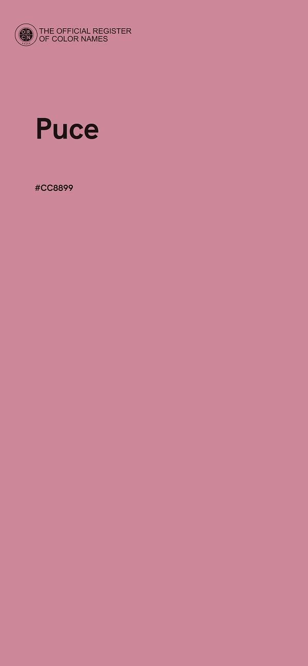 #CC8899 - Puce color image