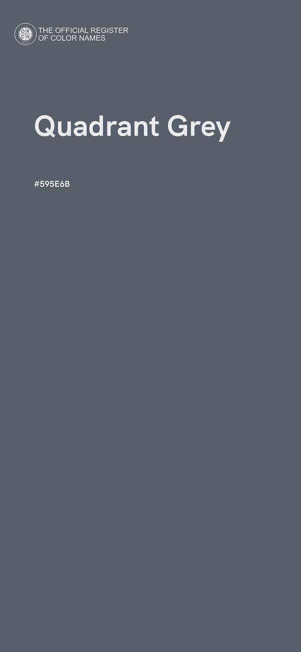#595E6B - Quadrant Grey color image