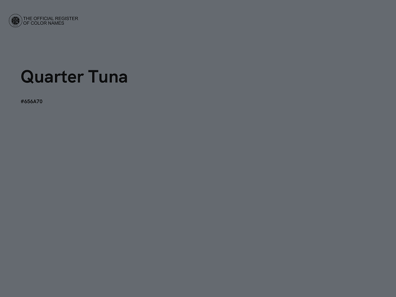 #656A70 - Quarter Tuna color image