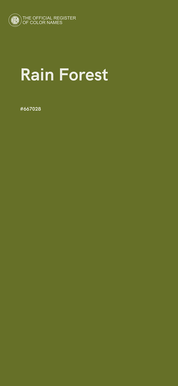 #667028 - Rain Forest color image