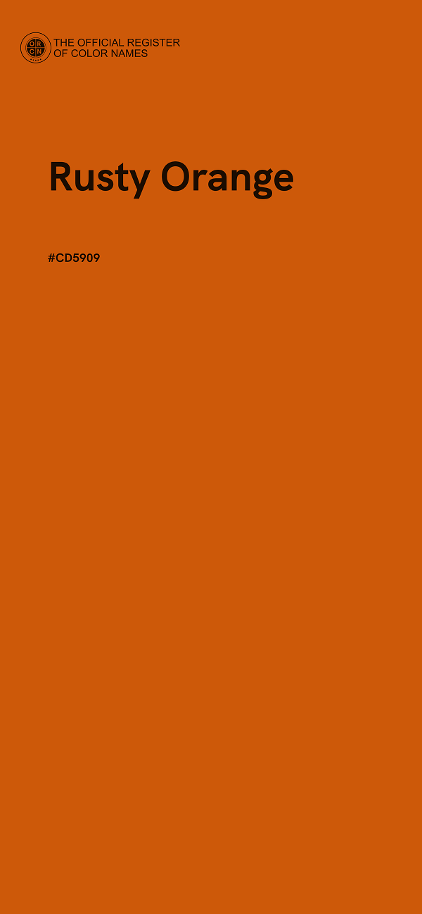 #CD5909 - Rusty Orange color image