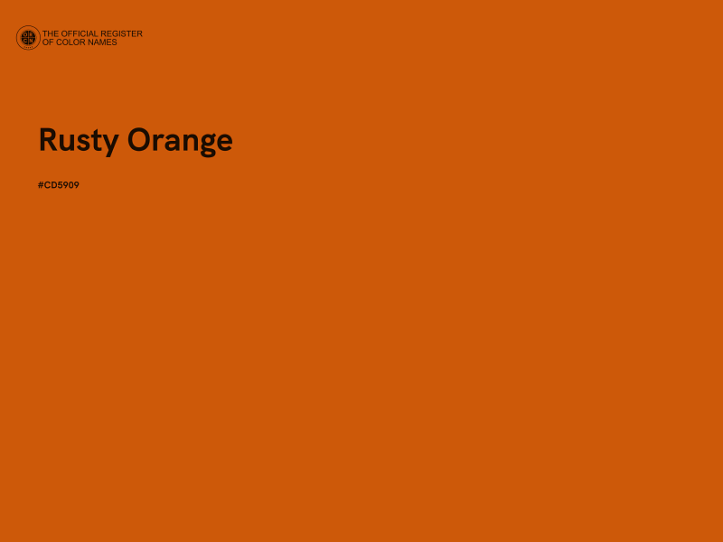 #CD5909 - Rusty Orange color image
