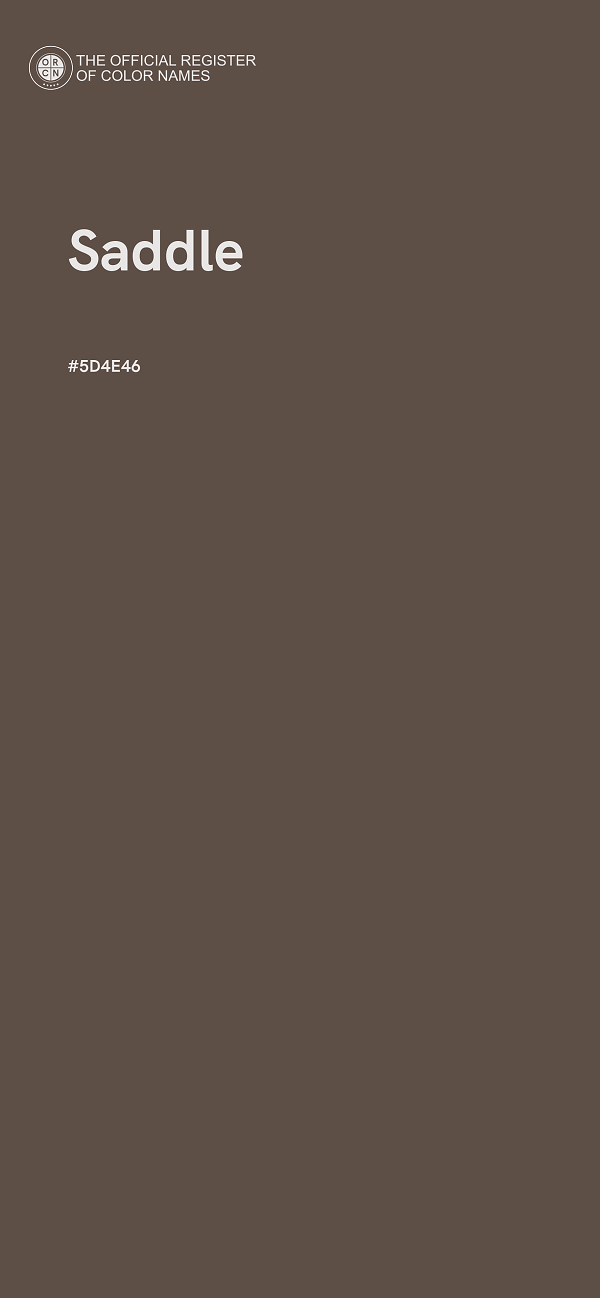 #5D4E46 - Saddle color image