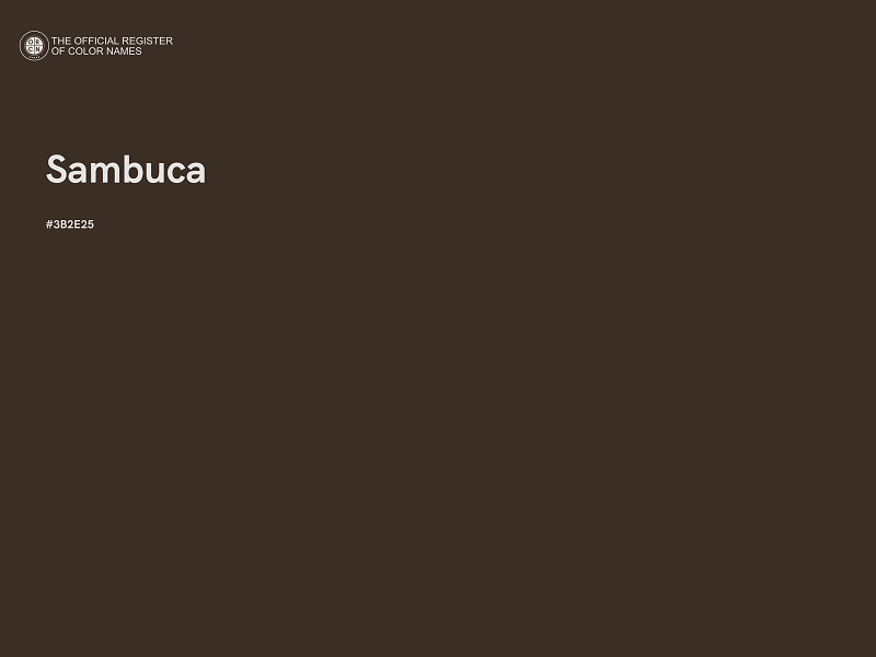 #3B2E25 - Sambuca color image