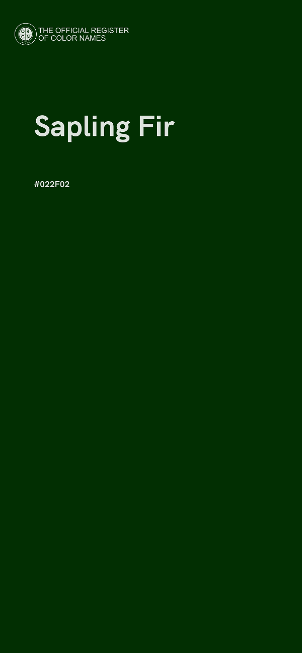 #022F02 - Sapling Fir color image