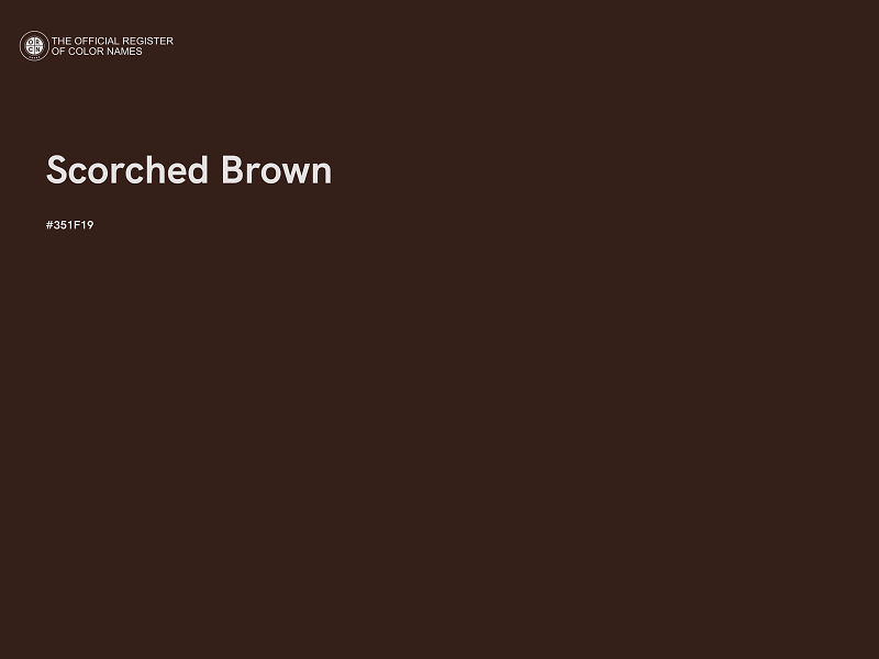 #351F19 - Scorched Brown color image