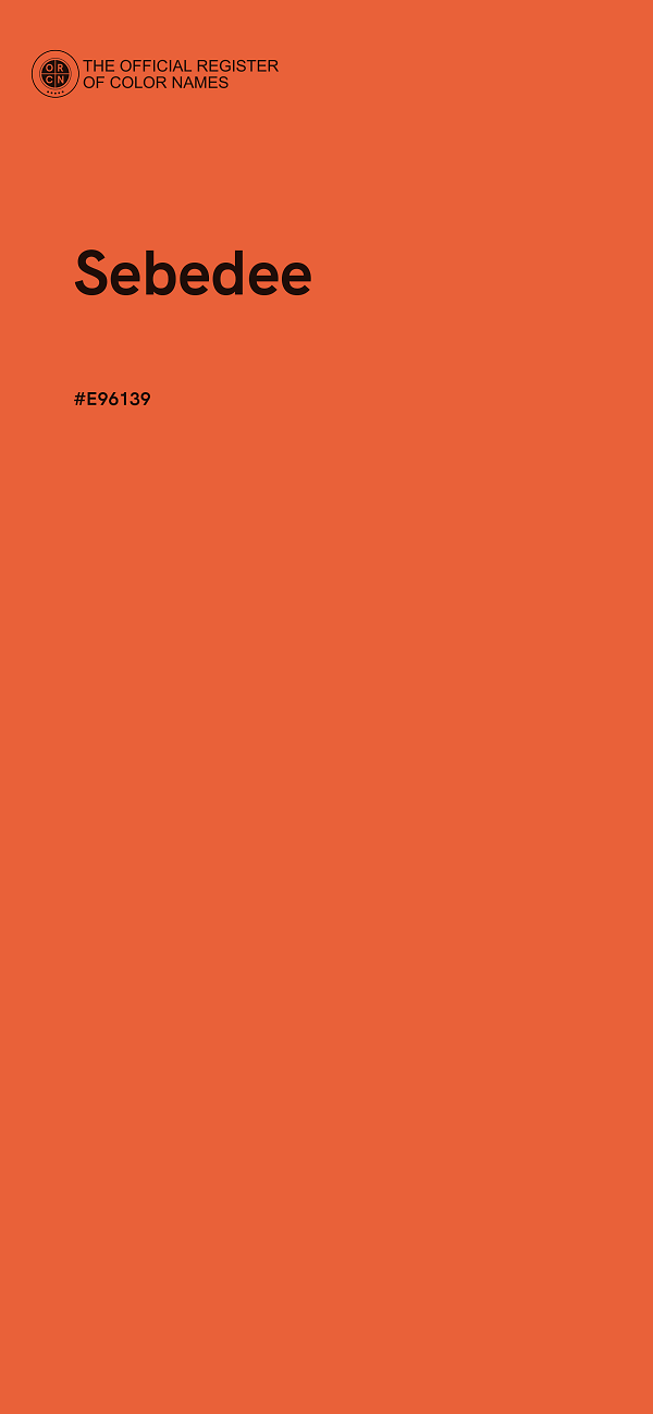 #E96139 - Sebedee color image