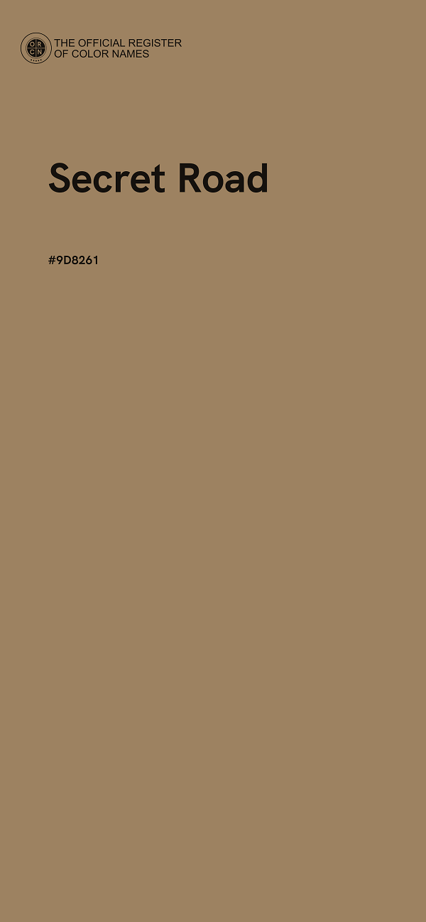 #9D8261 - Secret Road color image
