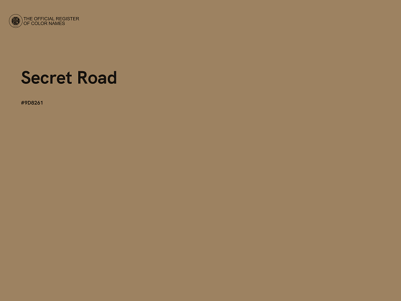 #9D8261 - Secret Road color image