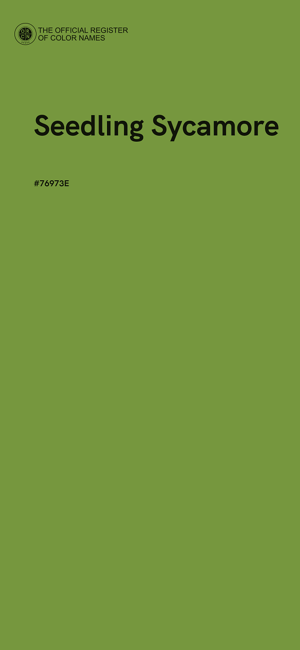 #76973E - Seedling Sycamore color image