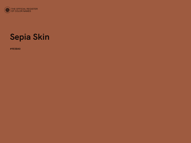 #9E5B40 - Sepia Skin color image