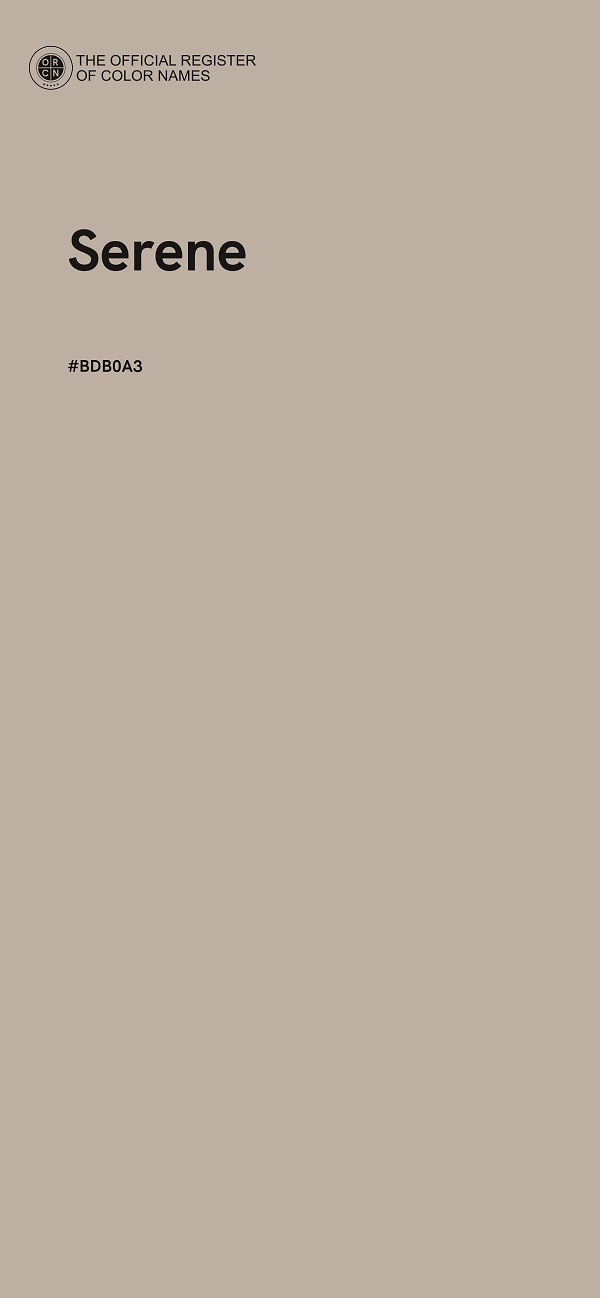 #BDB0A3 - Serene color image
