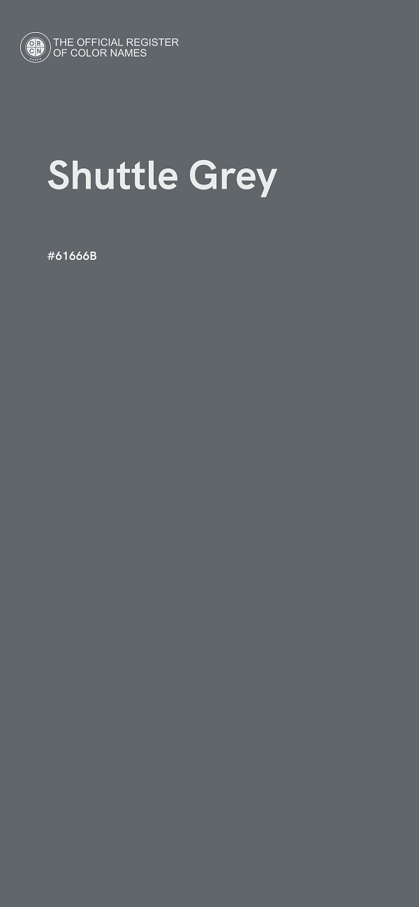 #61666B - Shuttle Grey color image