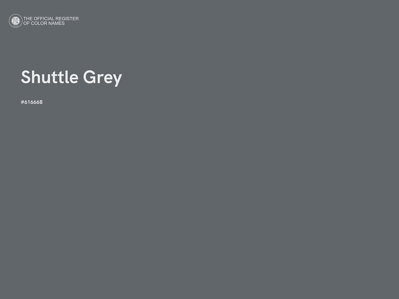 #61666B - Shuttle Grey color image