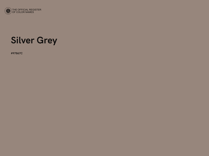 #97867C - Silver Grey color image