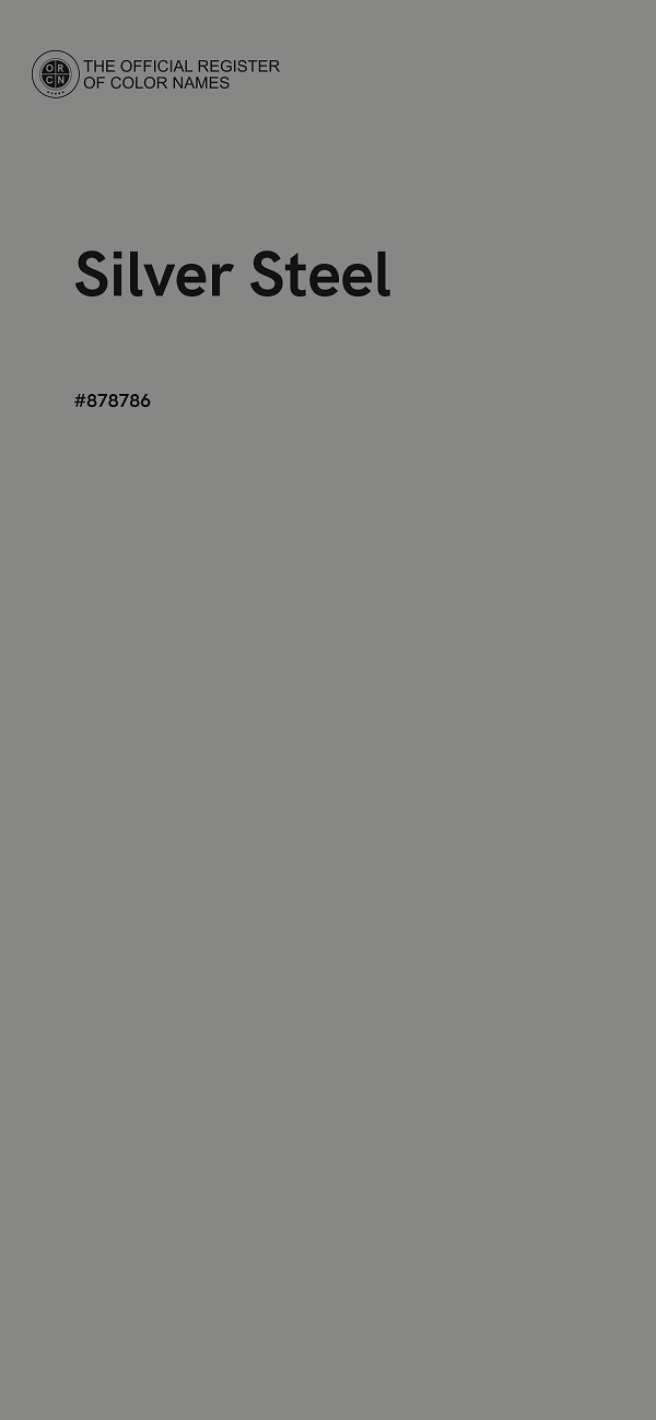 #878786 - Silver Steel color image