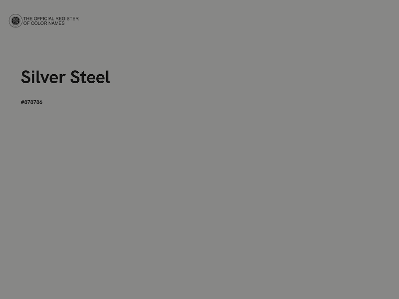 #878786 - Silver Steel color image