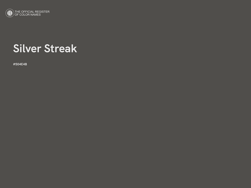 #504E4B - Silver Streak color image