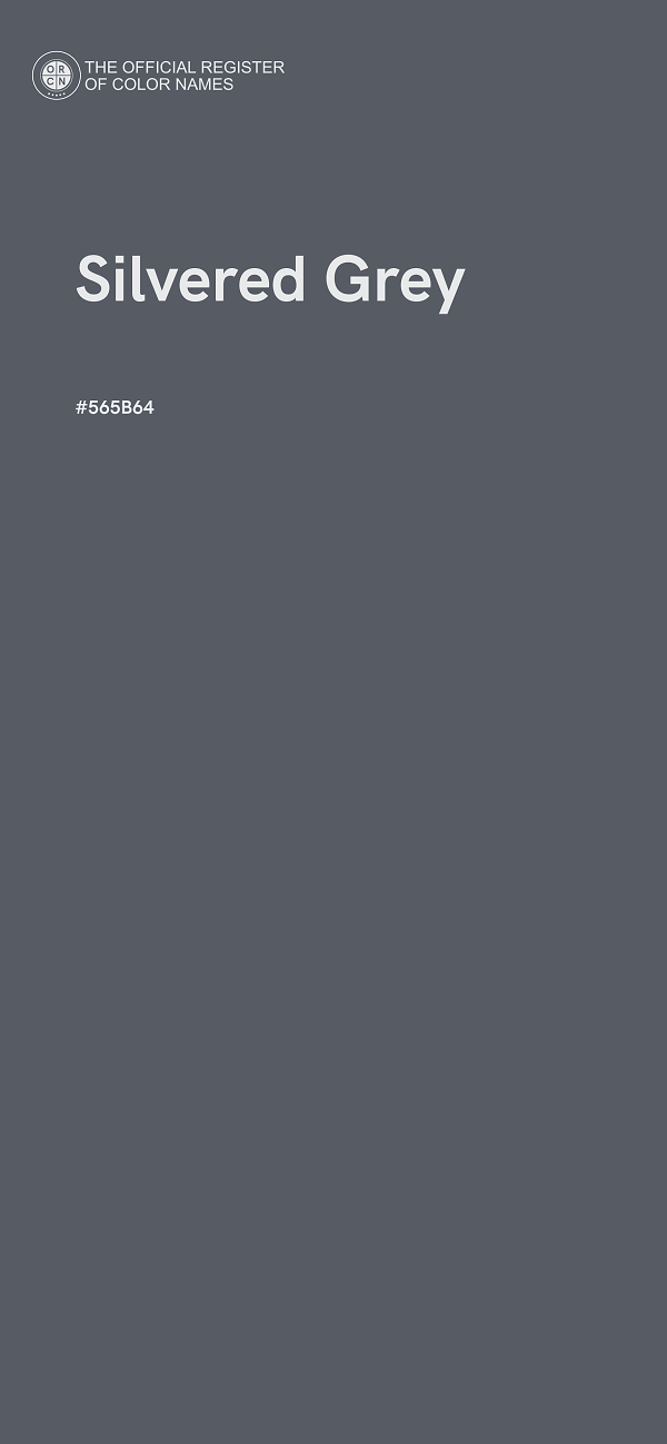 #565B64 - Silvered Grey color image