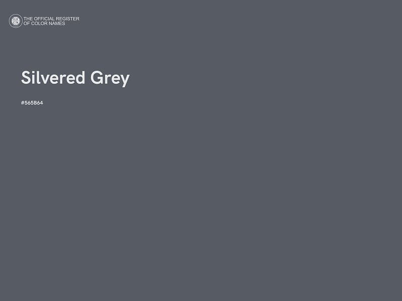 #565B64 - Silvered Grey color image