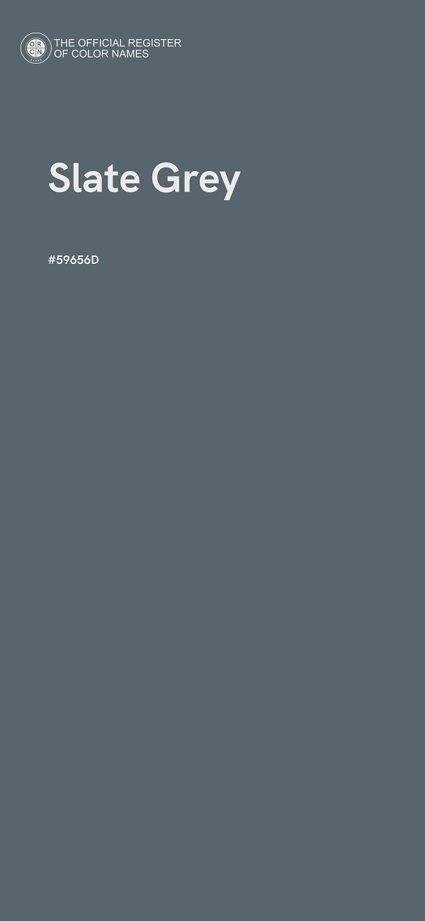 #59656D - Slate Grey color image