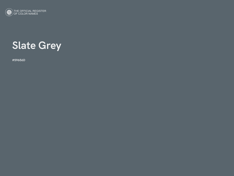 #59656D - Slate Grey color image