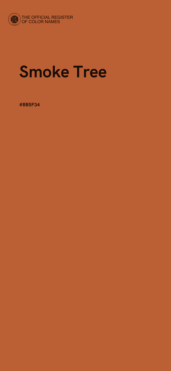 #BB5F34 - Smoke Tree color image