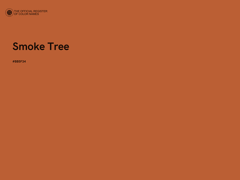 #BB5F34 - Smoke Tree color image