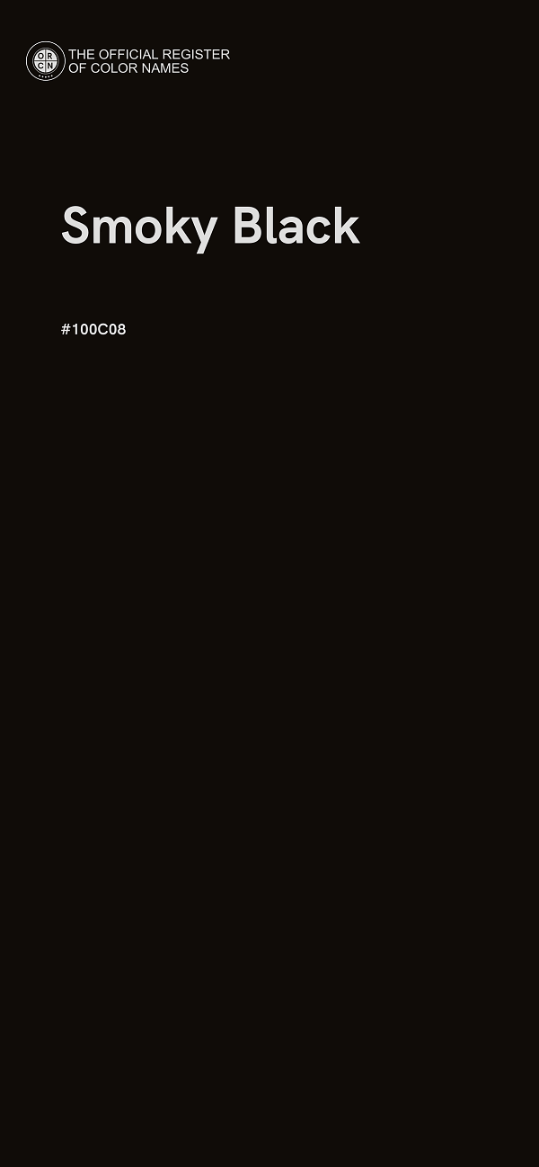 #100C08 - Smoky Black color image