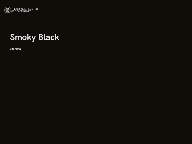 #100C08 - Smoky Black color image