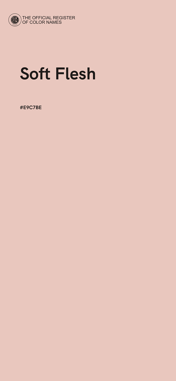 #E9C7BE - Soft Flesh color image