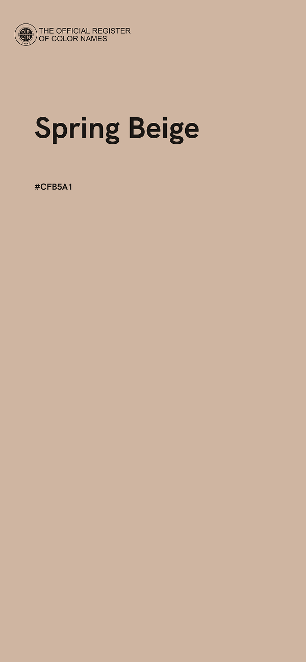 #CFB5A1 - Spring Beige color image