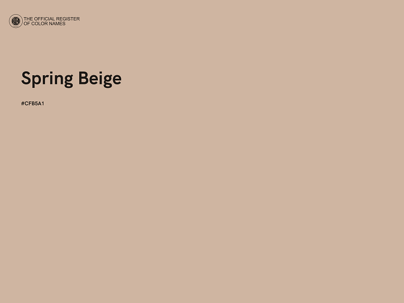 #CFB5A1 - Spring Beige color image