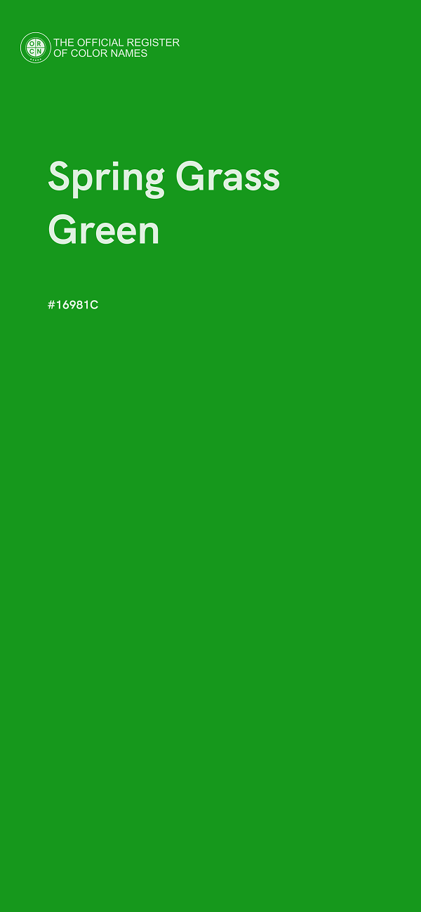 #16981C - Spring Grass Green color image