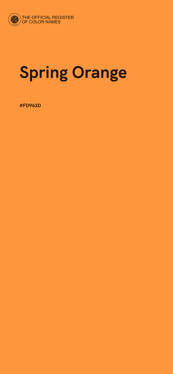 #FD963D - Spring Orange color image
