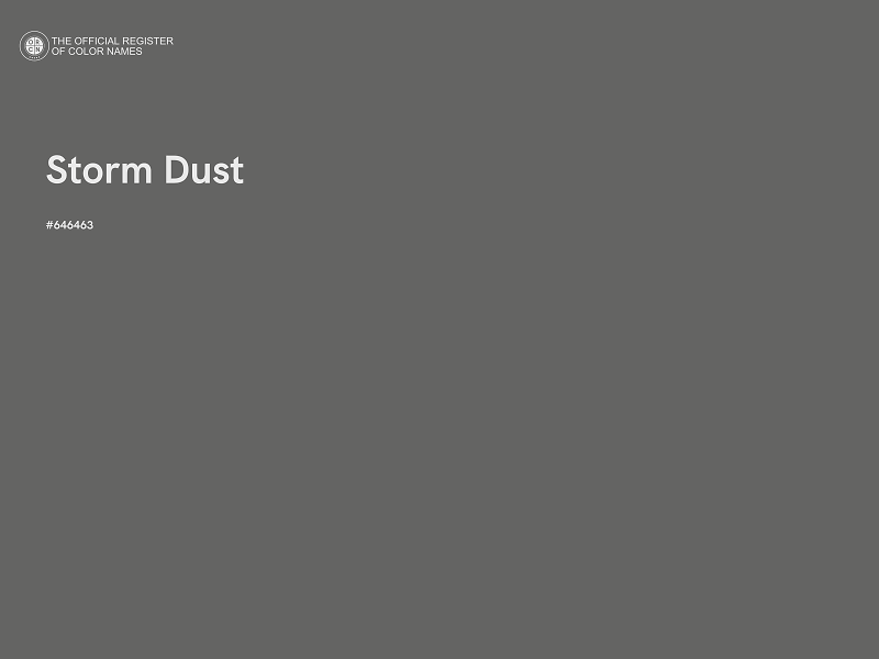 #646463 - Storm Dust color image