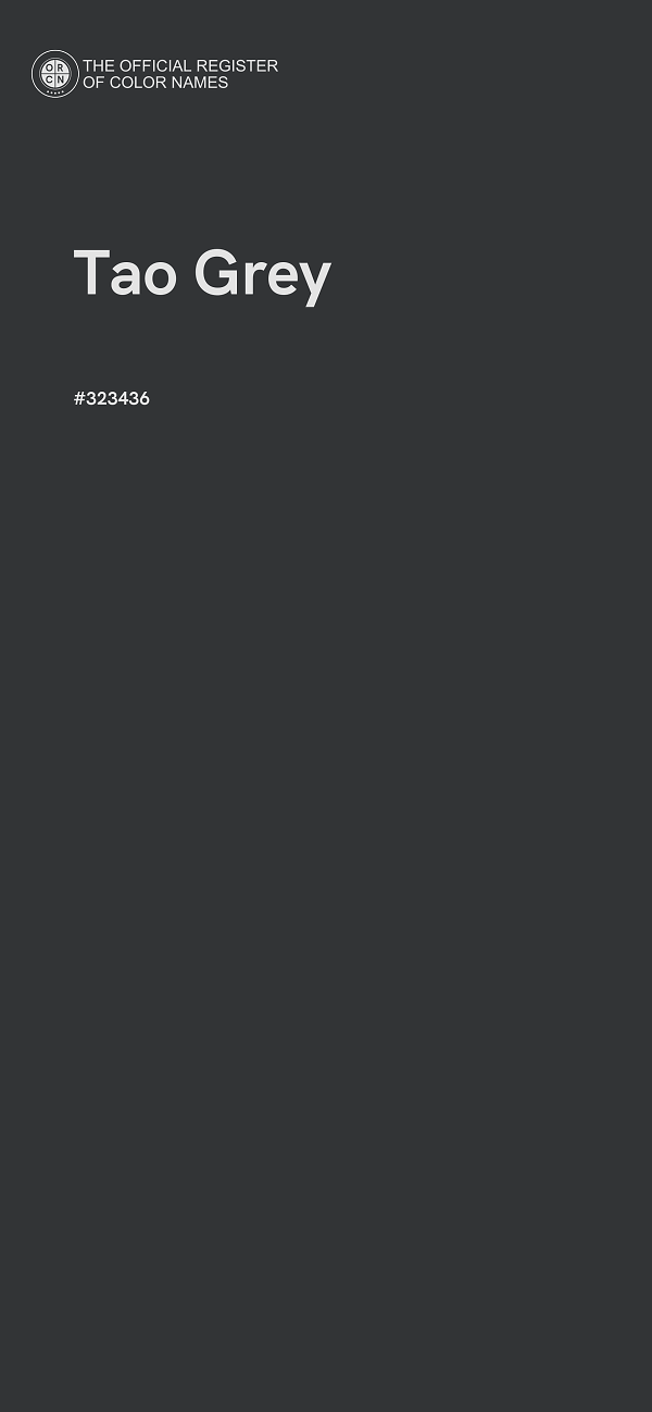 #323436 - Tao Grey color image